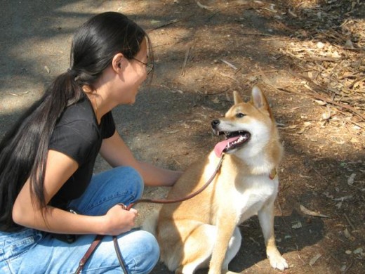 Puppy jumping and biting hot sale leash