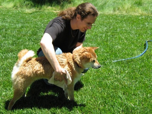 Nice dog bath in the great outdoors. There are no battles – instead, there is a cooperative learning process. There is no winning and losing, because by working together, everybody wins.