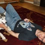 Man wearing a Siberian Husky shirt playing with a Siberian Husky, who is lying underneath his legs and play-biting his hand.