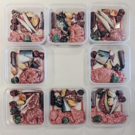 A week of Shiba Inu Kuma's raw dog food prepared in Tupperwares and ready for storage.